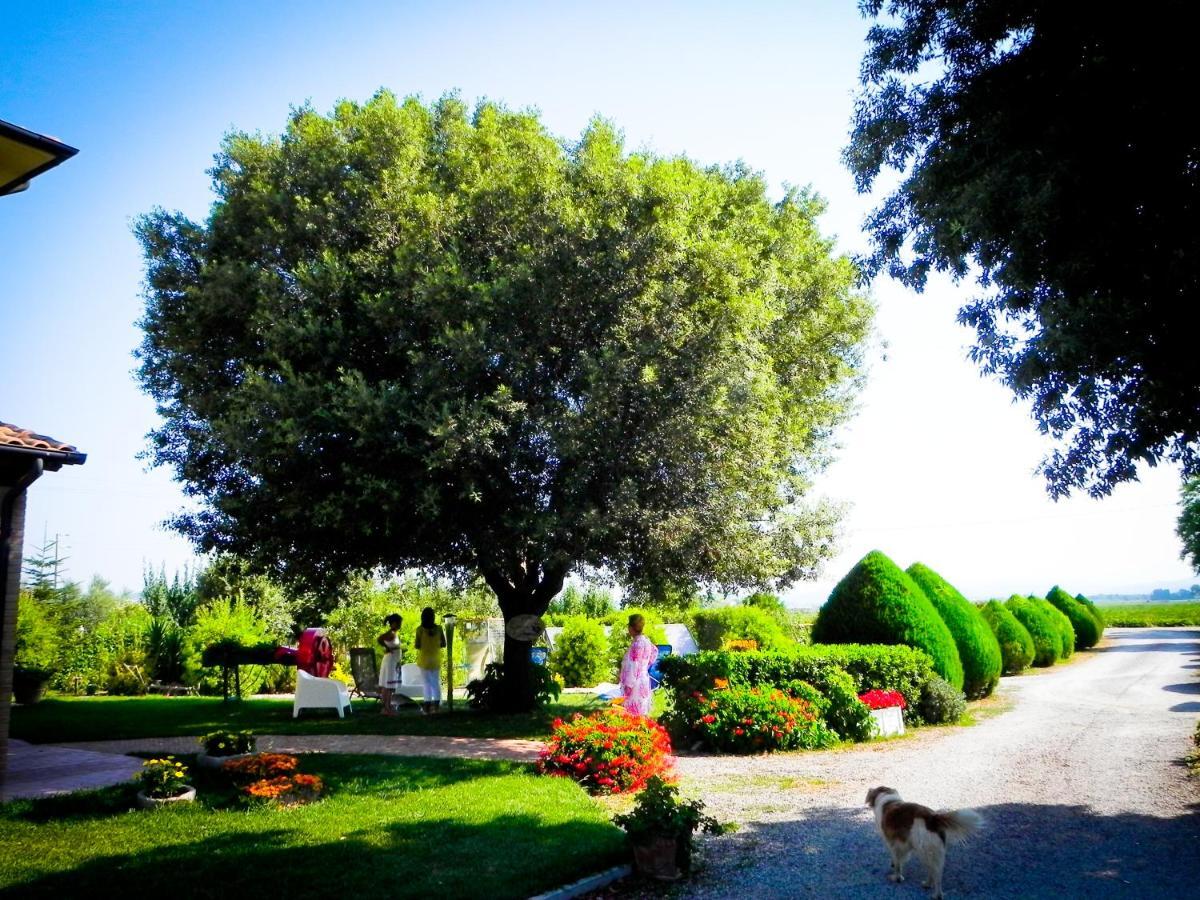 Agriturismo Il Cuscino Nel Pagliaio كامبيليا ماريتيما المظهر الخارجي الصورة
