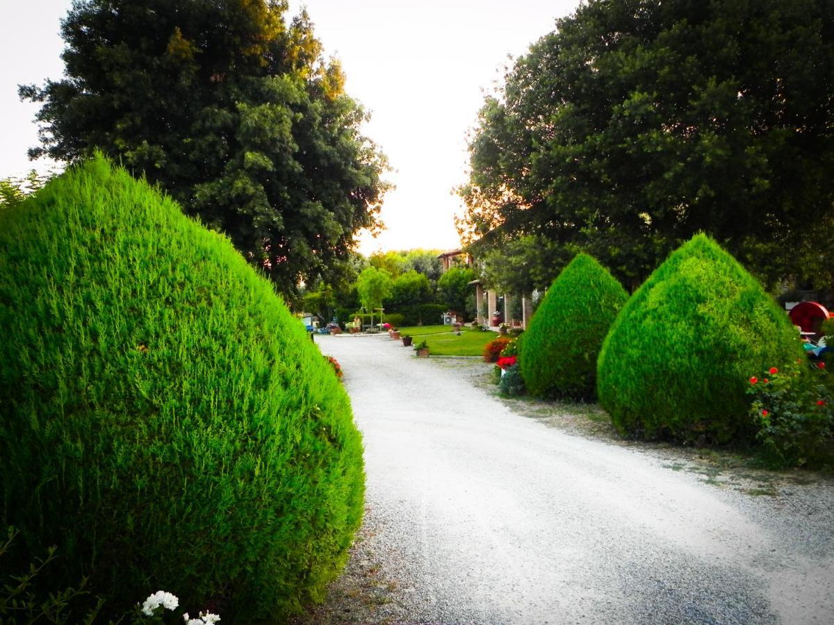 Agriturismo Il Cuscino Nel Pagliaio كامبيليا ماريتيما المظهر الخارجي الصورة